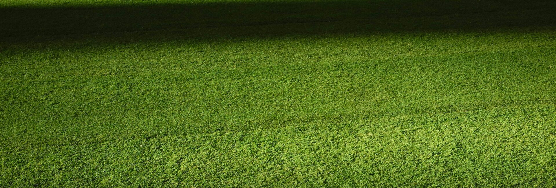 como barrer el cesped artificial